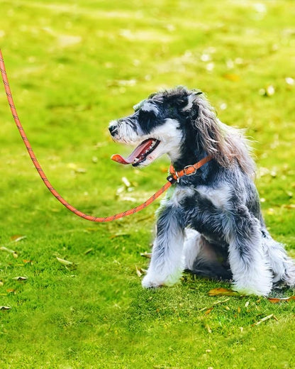 TagME 6ft Slip Dog Lead, No Pull Reflective Training Leash with Padded Handle, Professional Rope P-Leash for Small Medium Large Dogs, Heavy Duty Correction Lead for Walking & Training (Orange)