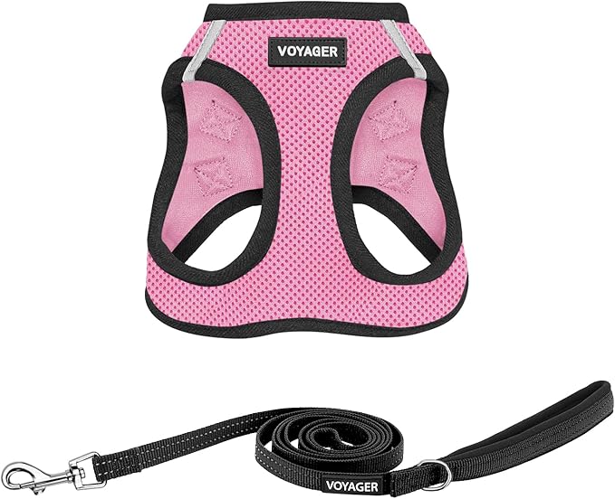 Best Pet Supplies Voyager Step-in Air All Weather Mesh Harness and Reflective Dog 5 ft Leash Combo with Neoprene Handle, for Small, Medium and Large Breed Puppies - Pink Base, L