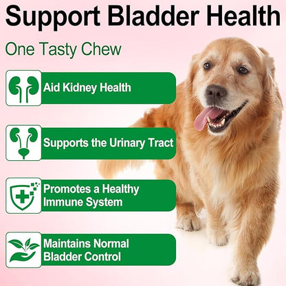 Dog UTI Treatment - Urinary Tract Infection Treatments, Kidney+Bladder Support Supplement, Natural Cranberry Extract for Dogs, Supports Urinary and Digestive Health (2 Fl Oz (Pack of 2))