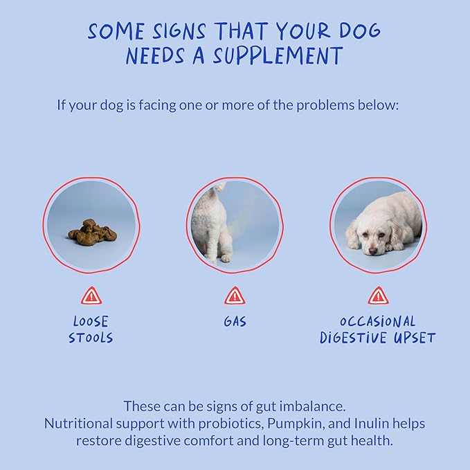 Probiotics for Dogs – Digestive & Diarrhea Support – 90 Soft Chews – Vet Formulated – Gut Health & Immune Support
