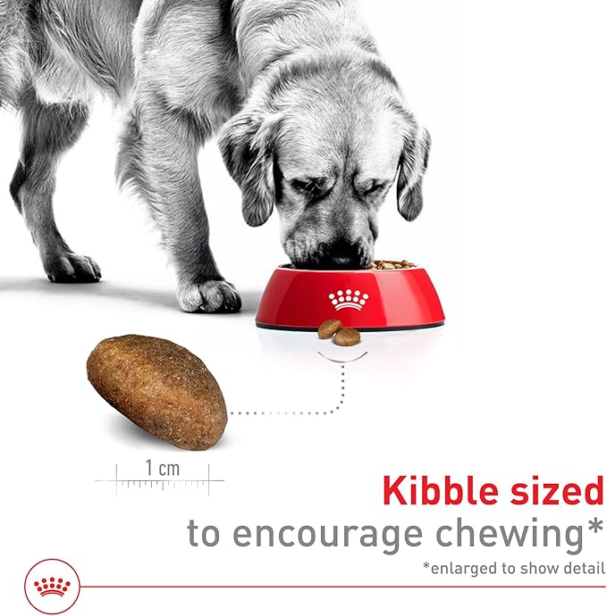 Royal Canin Size Health Nutrition Large Adult Dry Dog Food, 30 lb Bag
