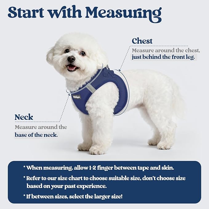 rabbitgoo Dog Harness Small Sized and Leash Set, Step in Soft Light Puppy Vest, Breathable Mesh Pet Harness, Reflective for Safe Outdoor Walking, Navy Blue XXS