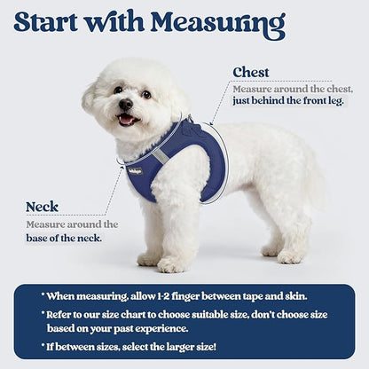 rabbitgoo Dog Harness Small Sized and Leash Set, Step in Soft Light Puppy Vest, Breathable Mesh Pet Harness, Reflective for Safe Outdoor Walking, Navy Blue S