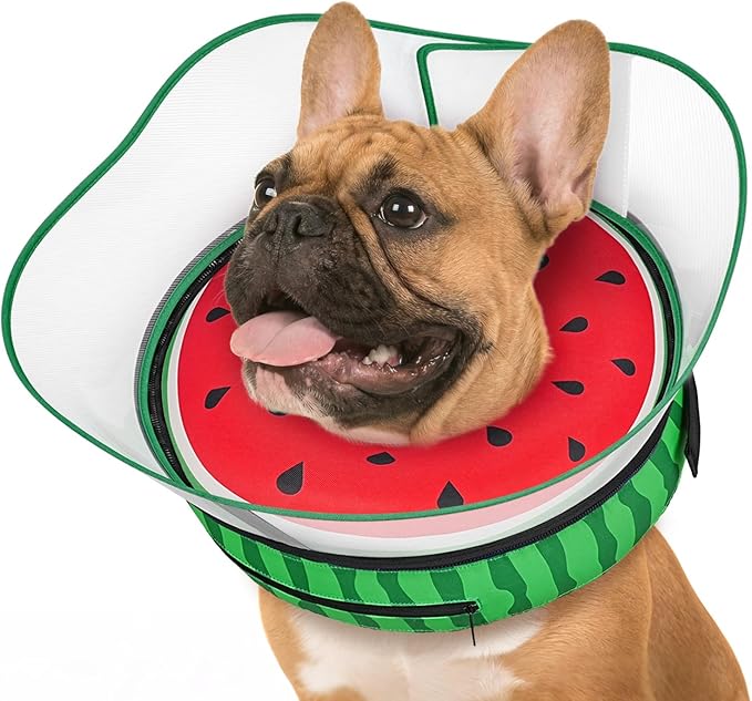 Supet Raised Inflatable Dog Cone After Surgery - Adjustable Recovery Donut Collar with Removable Shield to Stop Licking Wounds & Protect Stitches - Soft Dog Cone Alternative for Dogs (Watermelon,M)