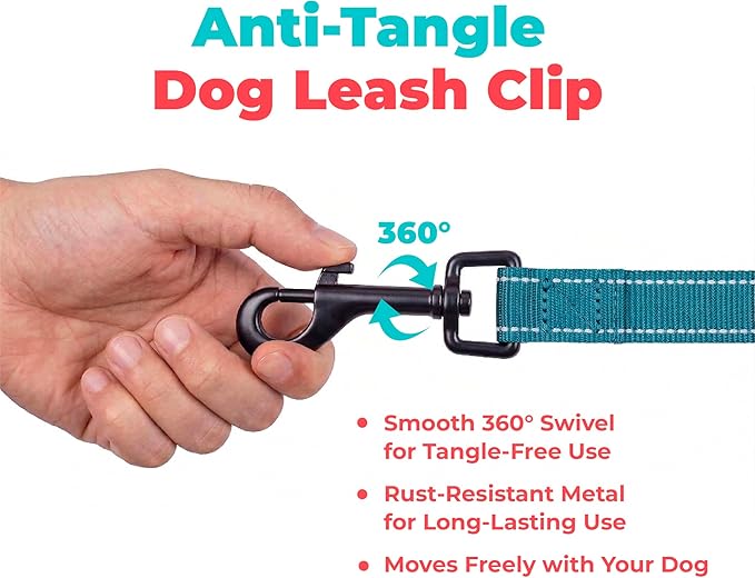 Best Pet Supplies Voyager Reflective Dog Leash or Collar with Neoprene Handle, for Small, Medium, and Large Breed Puppies, Cute and Heavy Duty for Walking, Running and Training - Turquoise (Leash), S