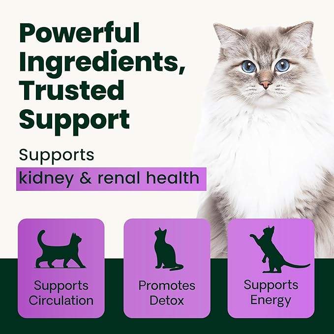 VetriScience Kidney Health Powder, Renal Essentials Supplement for Cats, Kidney Care and Support with Mushroom, Astragalus Root, Nettle Seed and Herbs, Chicken & Cheese, 60 Scoops