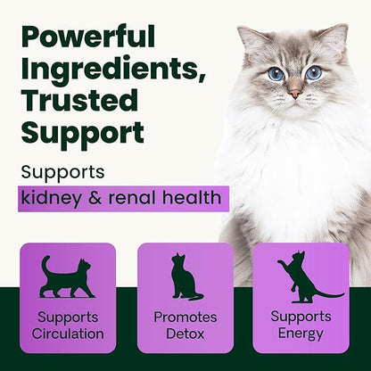 VetriScience Kidney Health Powder, Renal Essentials Supplement for Cats, Kidney Care and Support with Mushroom, Astragalus Root, Nettle Seed and Herbs, Chicken & Cheese, 60 Scoops