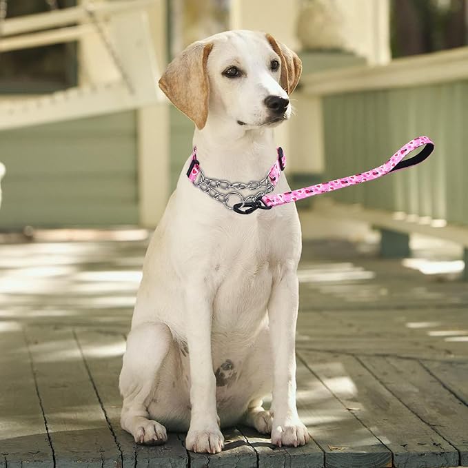 Martingale Dog Collar and Leash Set, Stainless Steel Chain, No Pull Training Collar with Flower Design, for Small, Medium, Large Dogs (NO20, S)