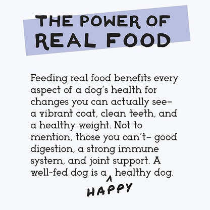 Simple Food Project - Duck Recipe - Freeze Dried Raw Food for Dogs - 48oz