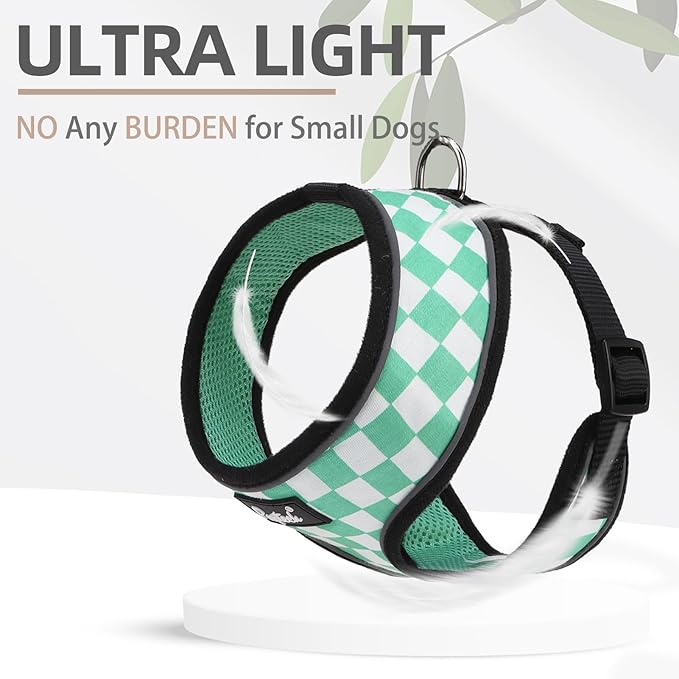 PUPTECK Soft Mesh Dog Harness and Leash Set Pet Puppy Cat Comfort Padded Vest No Pull Harnesses, Checkered Green&White, XS