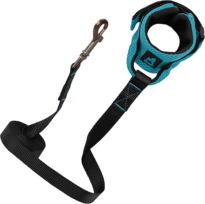 Gooby Soft Mesh Wrist Band Surfer Leash - Turquoise, 6 FT - Comfortable Hands Free Leash with Elastic Band for Small, Medium and Large Dogs
