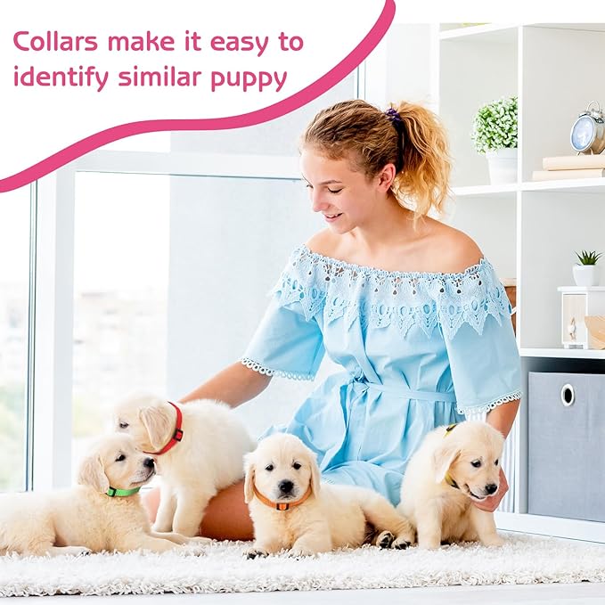 36 Pcs Puppy Collar and Leash Set, Adjustable Colorful Dog Collar and Leash Quick Release Clip Buckle Puppy Collars Whelping Collar for Small Medium Dogs Walking Training