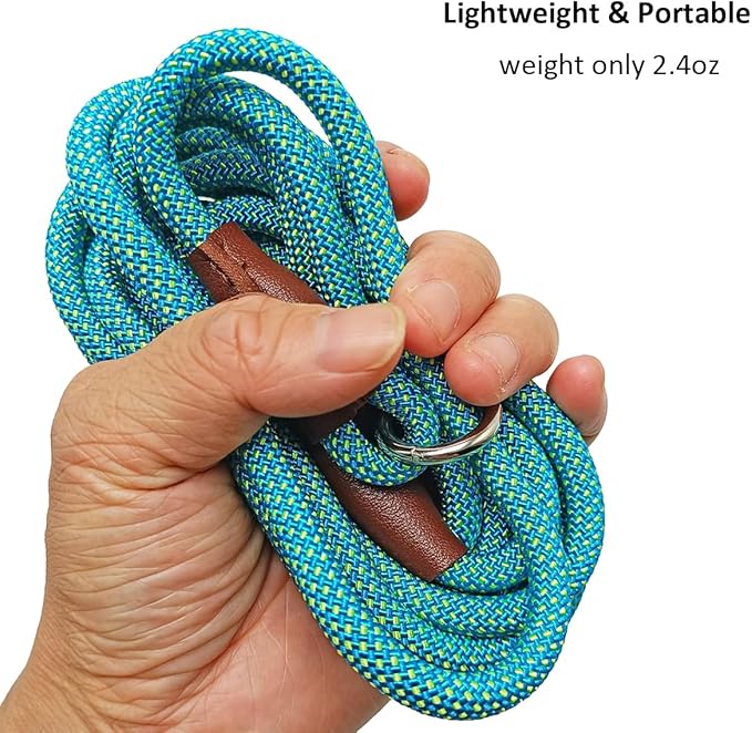 BTINESFUL 7FT Slip Lead Dog Leash, 14+ Colors Nylon Rope Leash, 1/4 Diam Dog Training Lead for Small Medium Dogs (1/4" * 7 FT, Green Dot)