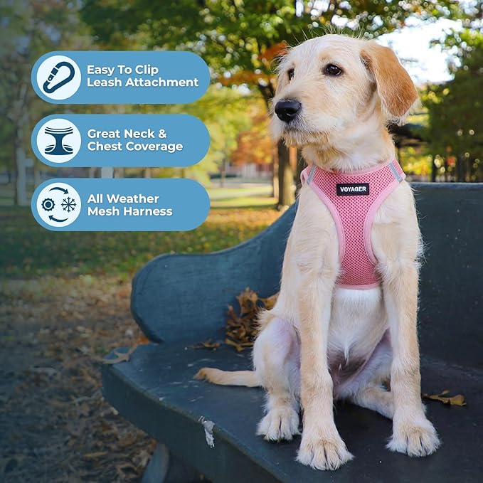 Best Pet Supplies Voyager Step-in Air Harness - All Weather Mesh, Reflective, No Pull Harness for Dogs, Cats - Secure with Hook & Loop Fastener, Buckle, Double D-Rings - Pink, XS
