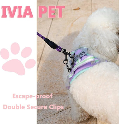 2 PCS Dog Collar Metal Safety Clip, Harness Collar Leash Chain Connector, Heavy Duty Double End Spring Backup Buckle Clasp, Escape-Proof Safety Accessory (Small, Black)