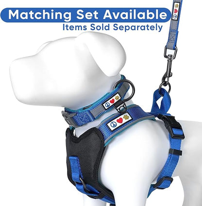 Pawtitas Blue Dog Leash 6 ft Custom ID Lead for Dogs & Puppies Reflective Comfortable Padded Handle Embroidered Name & Phone Number