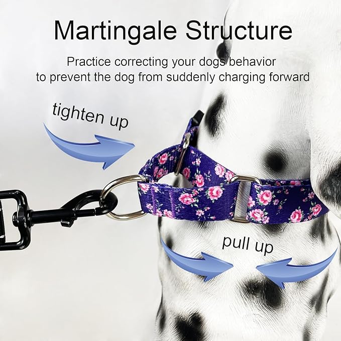 Martingale Collar for Dogs with Buckle Floral Dog Collar Girl Female Soft Nylon Dog Collars for Small Medium Large Dogs (Purple Flower, M)