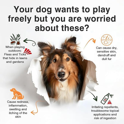 Dog Flea and Tick Prevention Allergy Chews - Omega 3 Skin and Coat Supplement,Immune Support,Natural Yeast,Itching & Licking Relief Treatment Chewable,Bites,Chews for Dogs Itching-200 Count