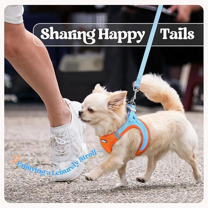 rabbitgoo Dog Harness Small Medium Sized and Leash Set, Step in Soft Light Puppy Vest, Breathable Mesh Pet Harness, Reflective for Safe Easy Walking, Blue & Orange L