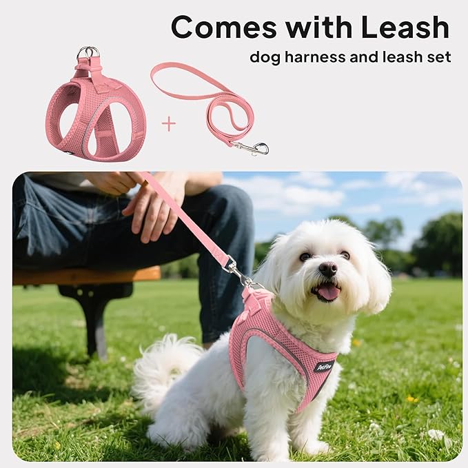 PetiFine Step in Small Dog Harness and Leash Set, Breathable All Weather Air Mesh Reflective Escape Proof, Step-in Vest Harnesses for Puppy(S, Pink)