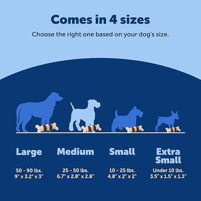 PetSafe Busy Buddy Bristle Bone Dog Chew Toy - Promotes Dental Health - Durable Nylon & Rubber - Treat Dispensing Design - Interactive Play - Refillable Treat Rings Included