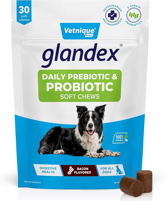Vetnique Glandex Daily Probiotics for Dogs with Prebiotics to Support Gut Health, Diarrhea with Fiber and Digestive Enzymes, Dog Probiotic Chews or Powders (30ct Chews, Bacon Chews)