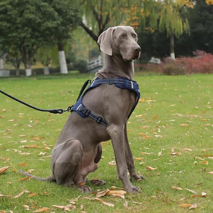Dog Harness No Pull Adjustable Reflective,for Medium and Large Small Dog with Leash 59.06in (Dark Blue, XL)