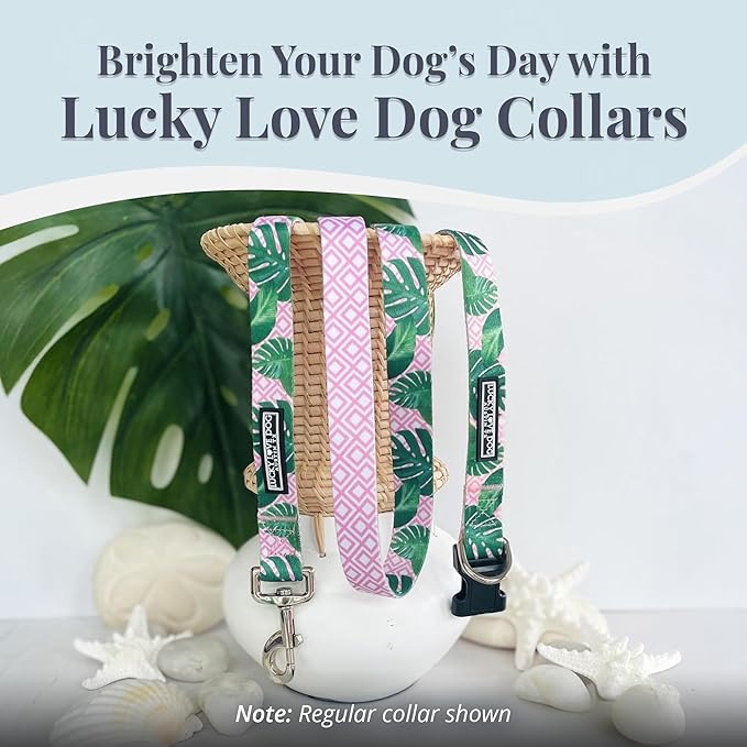Lucky Love Dog Martingale Dog Collar - Adjustable, No-Slip, Comfortable, Durable, Soft Webbing & Stylish Patterned Collar for Male and Female Dogs Ideal for Training & Walking - Laguna, Medium