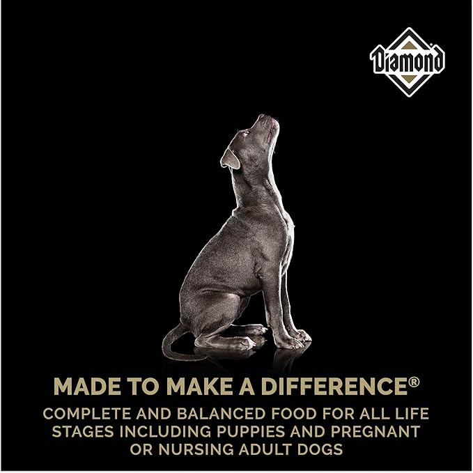Diamond Puppy Dry Dog Food 31/20 for All Life Stages Including Puppies and Pregnant and Nursing Adult Dogs 40lb Bag