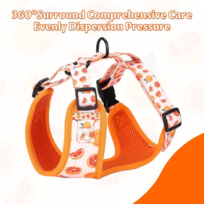 Dog Cat Harness and Leash Set, Puppia Soft Mesh Padded and Adjustable Puppy Vest Cute Dog Clothes Escape Proof Easy Walk Pet Accessories (Grapefruit, XS (Neck 9"-11"; Chest 11"-13"))