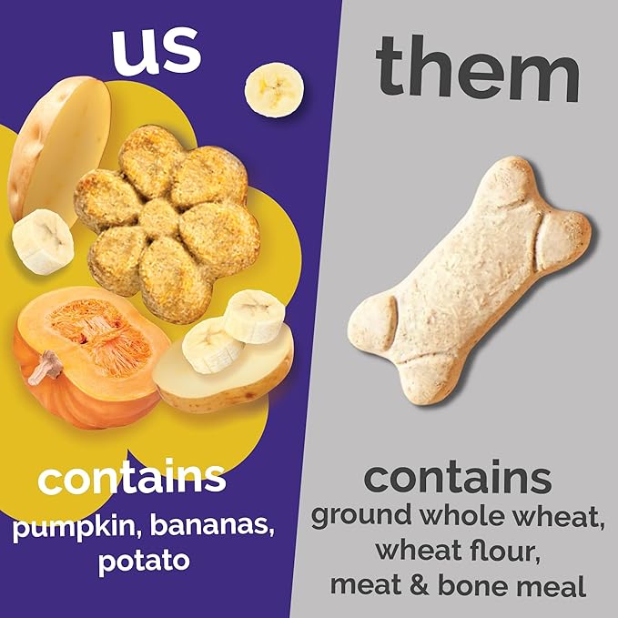 Fruitables Baked Dog Treats, Healthy Pumpkin Treat for Dogs, Low Calorie & Delicious, No Wheat, Corn or Soy, Made in the USA, Pumpkin and Banana Flavor, 12oz
