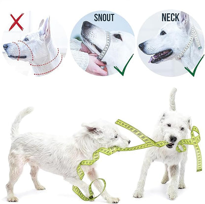 GoodBoy Dog Head Halter with Safety Strap - Stops Heavy Pulling On The Leash - Padded Headcollar for Small Medium and Large Dog Sizes - Head Collar Training Guide Included (Size 1, Pink Nylon)