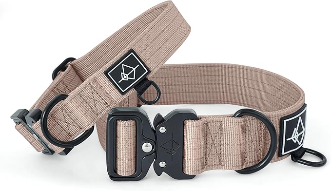 Made to ROAM Premium Dog Collar - Adjustable Heavy Duty Nylon Collar with Quick-Release Metal Buckle (Utah Glow, Classic Size 3)