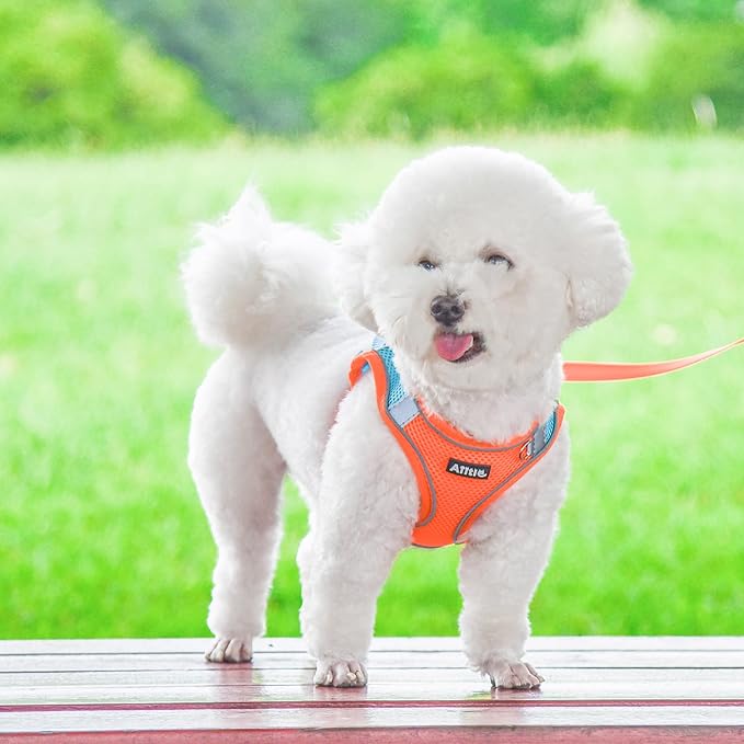 AIITLE Comfortable Dog Harness and Leash Set for Walking - Step in Vest Harness,Reflective Bands, Adjustable No Pull Puppy Essentials, for Small Dogs and House Cats Orange XS