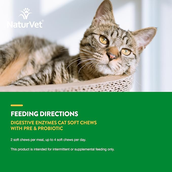 NaturVet – Digestive Enzymes for Cats Plus Probiotics – 60 Soft Chews – Helps Support Diet Change & A Healthy Digestive Tract – Aids in the Absorption of Vitamins & Minerals – 30 Day Supply