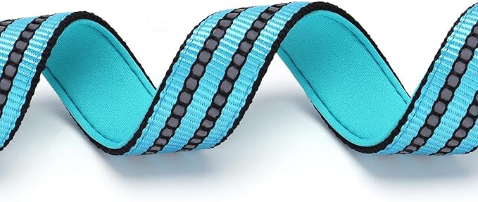 Choker Collar for Dogs，Stainless Steel Chain Martingale No Pull Slip Cinch Training Escape Proof Heavy Duty Dog Collar for Small Medium Large Pet Girl Female Dogs，Blue XL