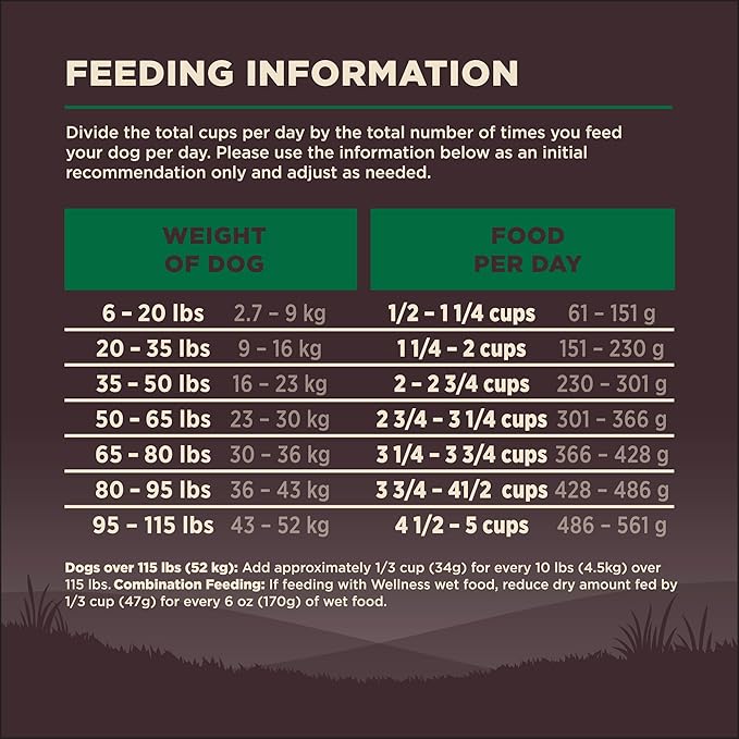 Wellness CORE Adult Dry Dog Food, Grain Free Kibble, Natural, High Protein, Lamb Recipe, 4 lb Bag