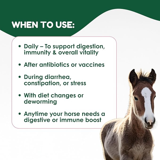Horse Probiotic Paste – 8 Billion CFU Equine Probiotic with Prebiotics & Vitamins – Hindgut Health, Digestive Balance & Feed Efficiency Support – 80CC