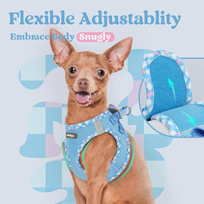 rabbitgoo Small Dog Harness, Step-in Soft Mesh Puppy Vest with Safety Buckle, Breathable Reflective Pet Harness for Extra Small Dogs, Blue & Plaid Trim XXS