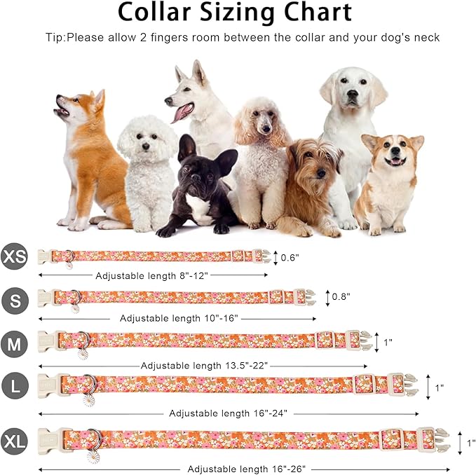 ARING PET Spring Summer Dog Collar, Cute Daisy Wildflower Floral Blossom Pet Collars for Small Medium Large Girl Dogs-XS Size