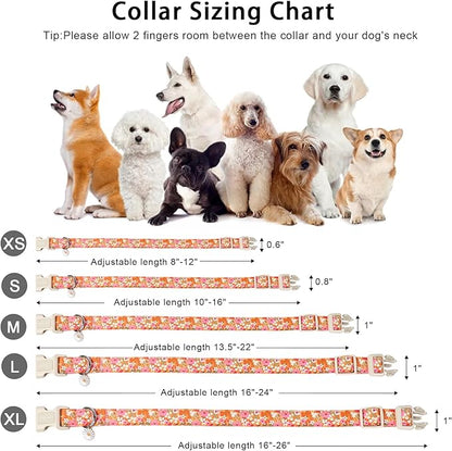 ARING PET Spring Summer Dog Collar, Cute Daisy Wildflower Floral Blossom Pet Collars for Small Medium Large Girl Dogs-XS Size