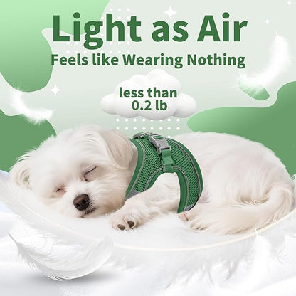 AIITLE Small Harness for Puppy with A Leash - Dog Vest Harness with Super Breathable Mesh, Reflective No-Pull Pet Harness for Outdoor Walking, Running for Small Dogs, Cats Green XXS