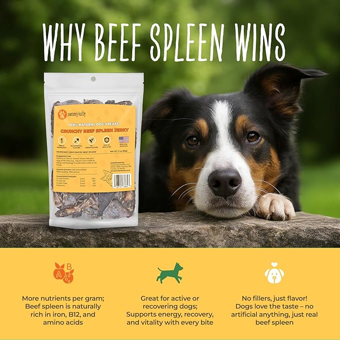 Pawsomely Healthy Crunchy Beef Spleen Jerky for Dogs – Natural Single-Ingredient Air-Dried Treat, High-Protein & Grain-Free, Made in USA - 3 oz