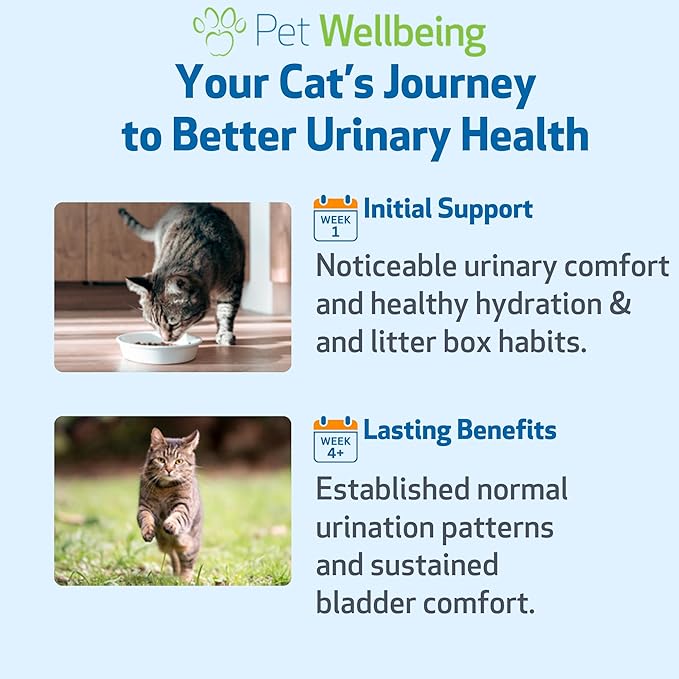 Pet Wellbeing Urinary Gold for Cats - Vet-Formulated Multi-Herb Urinary Tract Support - Feline Bladder Health & Urinary System Wellness - Holistic Cat Supplement - Liquid Formula 2 oz (59ml)