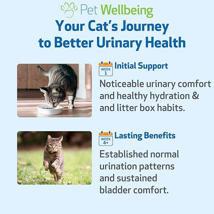 Pet Wellbeing Urinary Gold for Cats - Vet-Formulated Multi-Herb Urinary Tract Support - Feline Bladder Health & Urinary System Wellness - Holistic Cat Supplement - Liquid Formula 2 oz (59ml)