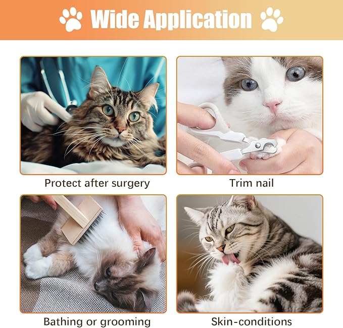 Cat Cone Collar Soft, Comfortable E Collar for Cats After Surgery, Recovery Elizabethan Collar for Cats Kitten to Stop Licking, Orange M