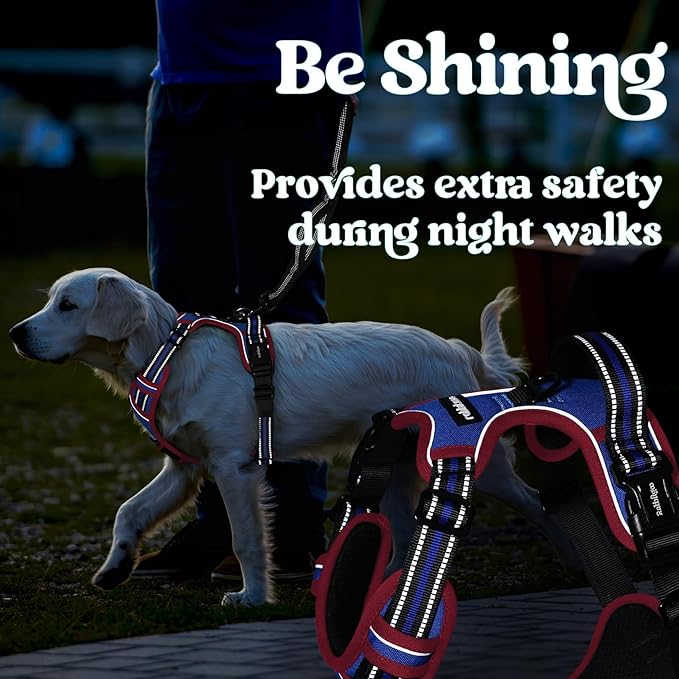rabbitgoo Dog Harness Medium Sized, No Pull Pet Harness with 3 Buckles, Adjustable Soft Padded Vest with Control Handle, Walking Reflective Pet Vest for Medium Dogs, Royal Blue & Red, M