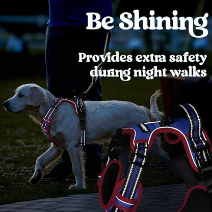 rabbitgoo Dog Harness Small Sized, No Pull Pet Harness with 3 Buckles, Adjustable Soft Padded Vest with Control Handle, Walking Reflective Pet Vest for Small Dogs, Royal Blue & Red, S