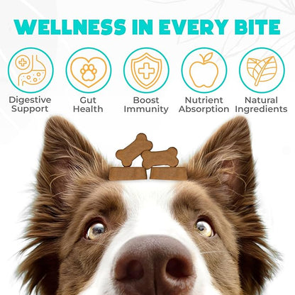 Probiotics for Dogs Chews 150PCs - Digestive, Gut Health & Diarrhea Support - Probiotic Chews for Dogs - Vet Approved US Formula with Dog Probiotics, Enzymes & Natural Ingredients - Chicken