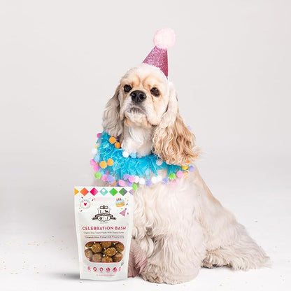 Lord Jameson: Celebration Bash 6 oz - Dog Patisserie Treats, Organic, Soft & Chewy No-Bake Superfood Bites, PB & Coconut, Gluten & Preservative Free